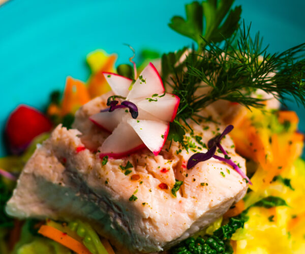 Gedünstetes Welsfilet, auf Kartoffelpüree mit Kirsch-tomaten-Knoblauch-Gemüse und Petersilien-Mango-Salsa